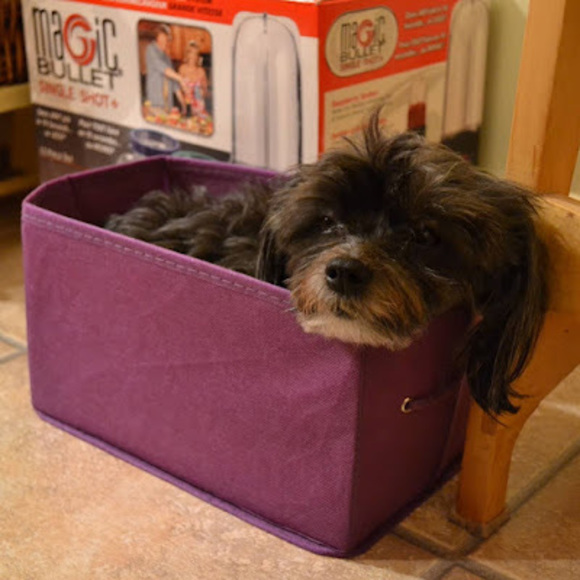 Meet your Posher, Alex - Picture 1 of 1